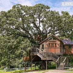 Tree House Luxury Stay