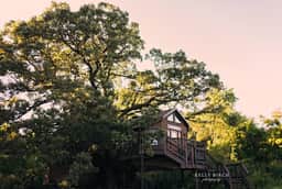 Tree House Luxury Stay