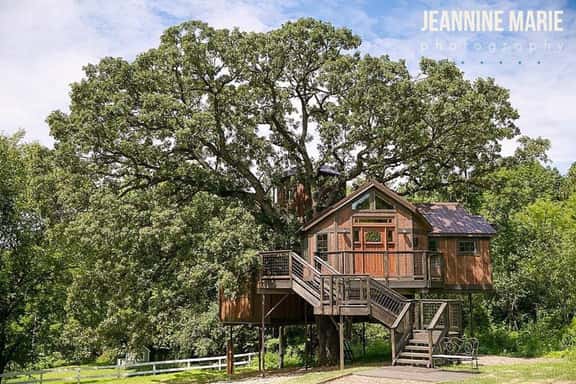 Tree House Luxury Stay - Image 1