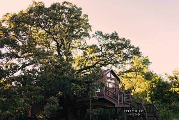 Tree House Luxury Stay