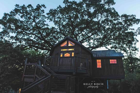 Tree House Luxury Stay